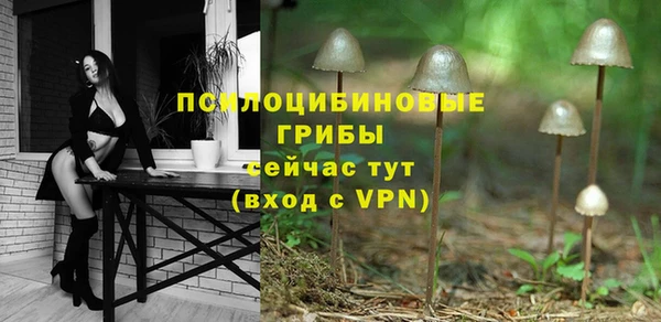 стафф Алексин