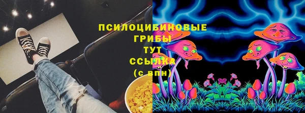 apvp Алексеевка